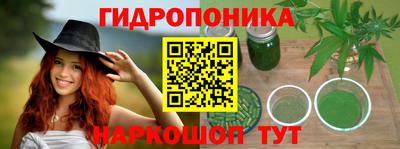 МДПВ Гагарин