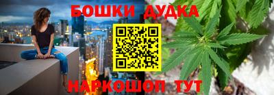 МДПВ Гагарин