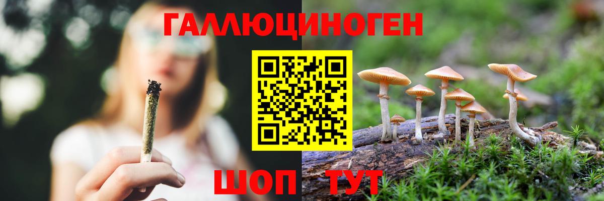Галлюциногенные грибы MAGIC MUSHROOMS Мурино